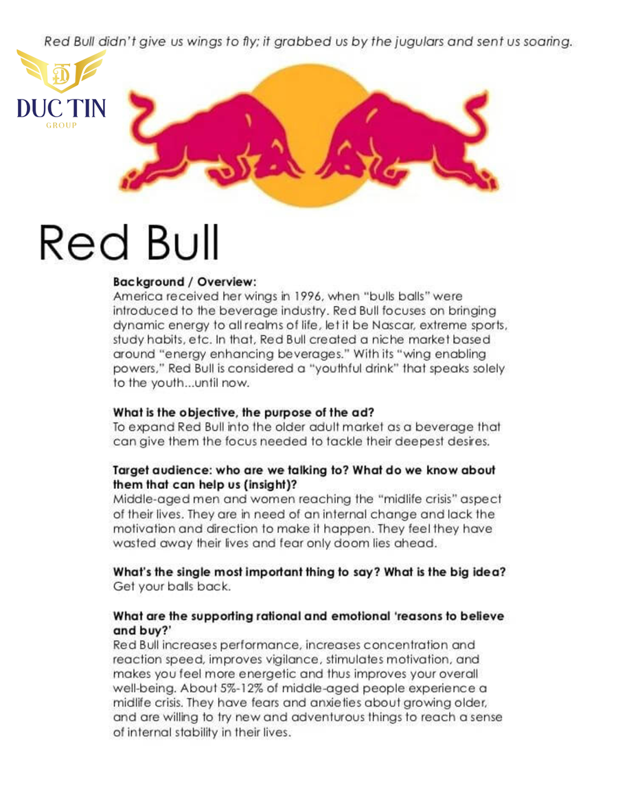 Tham khảo mẫu Communication Brief của RedBull