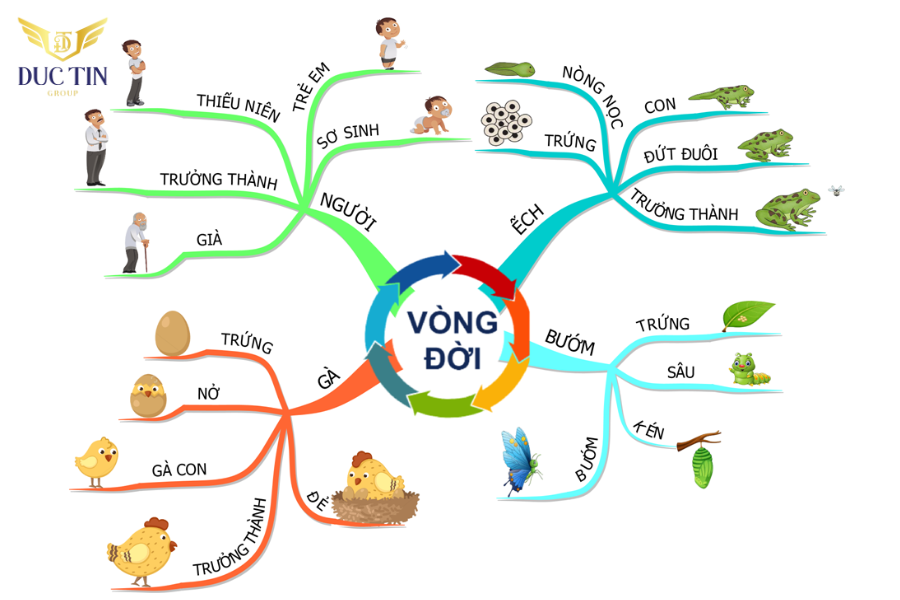 Sơ đồ tư duy là dạng biểu đồ trực quan kết hợp hình ảnh, biểu tượng và văn bản