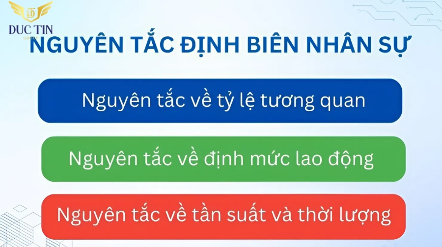 Tuân thủ 3 nguyên tắc định biên nhân sự là gì giúp bạn quản lý nhân sự hiệu quả 